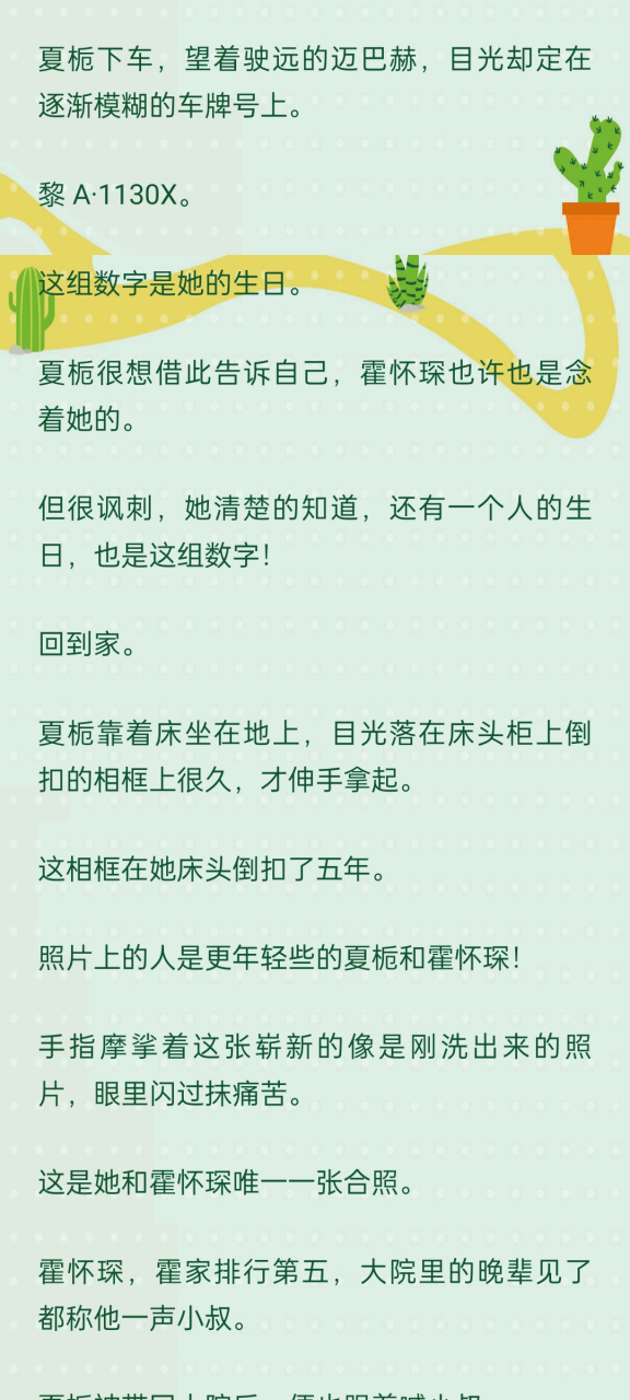 抖音爆热文《夏栀霍怀琛林知妍小叔》好久不见小说全本完结阅读  抖音