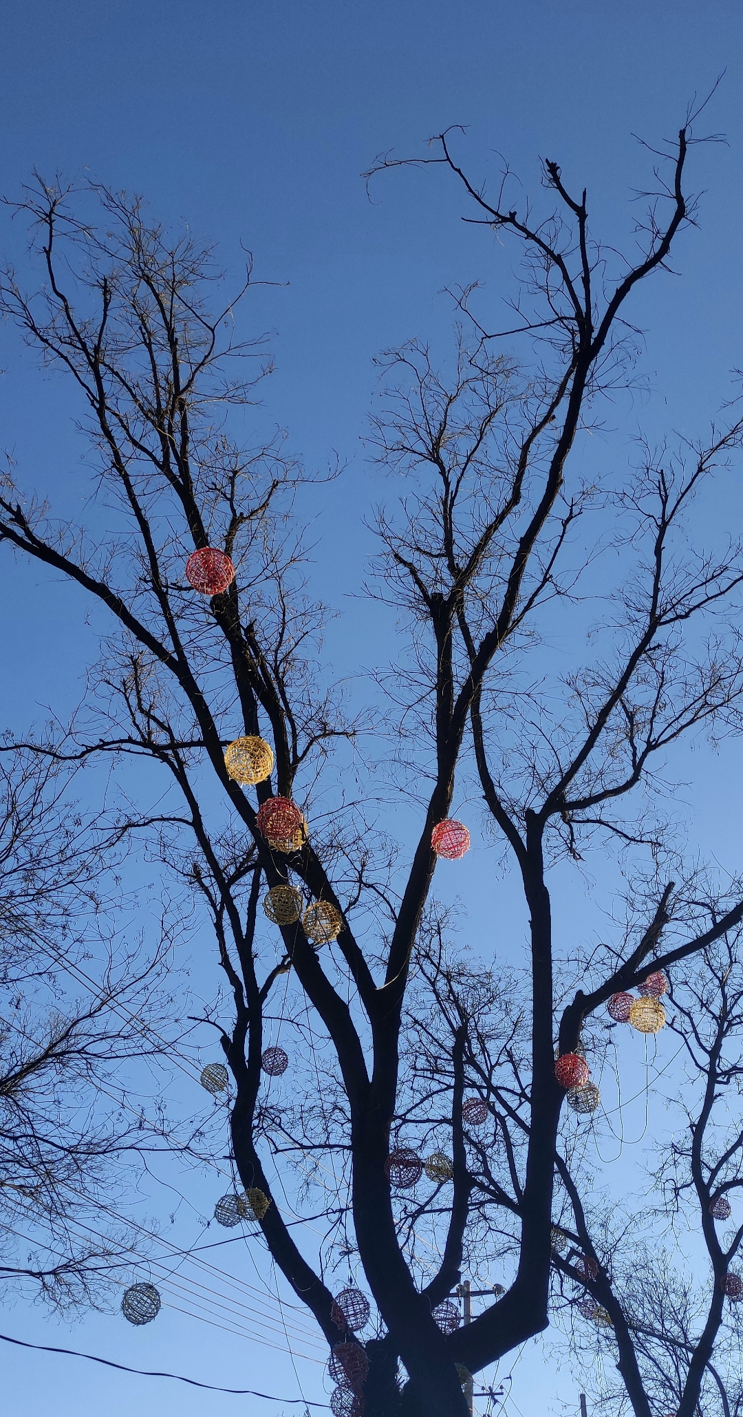 … 周末的早晨,7点多外面还很安静,初升的太阳光