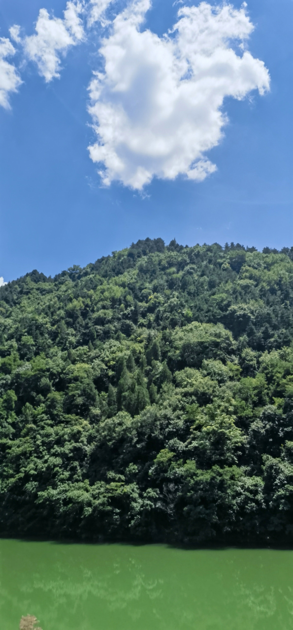 山清水秀太阳高大爷图片