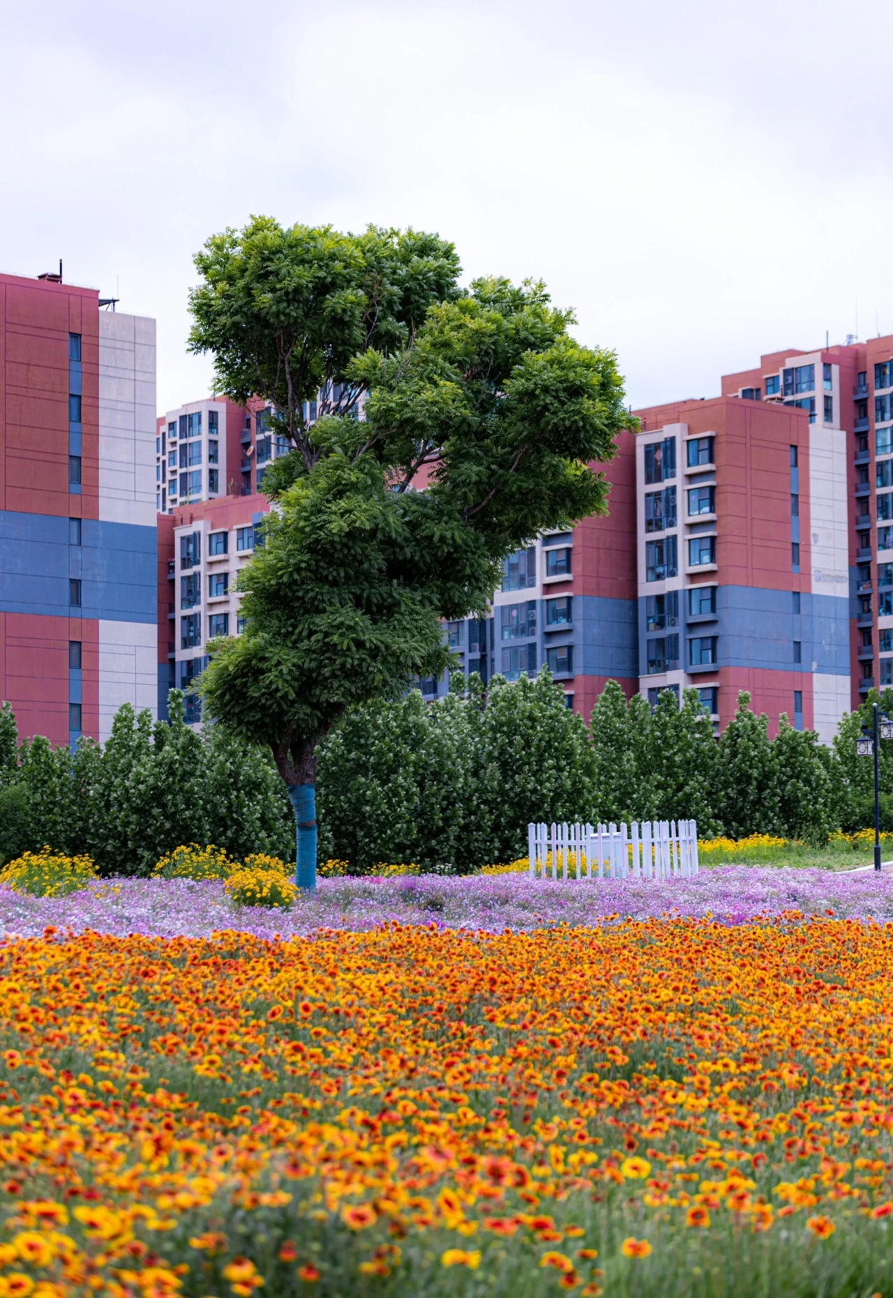 地址:城阳区宁城路与厚城路交叉口西北240米,城阳奇趣畅想主题园就像