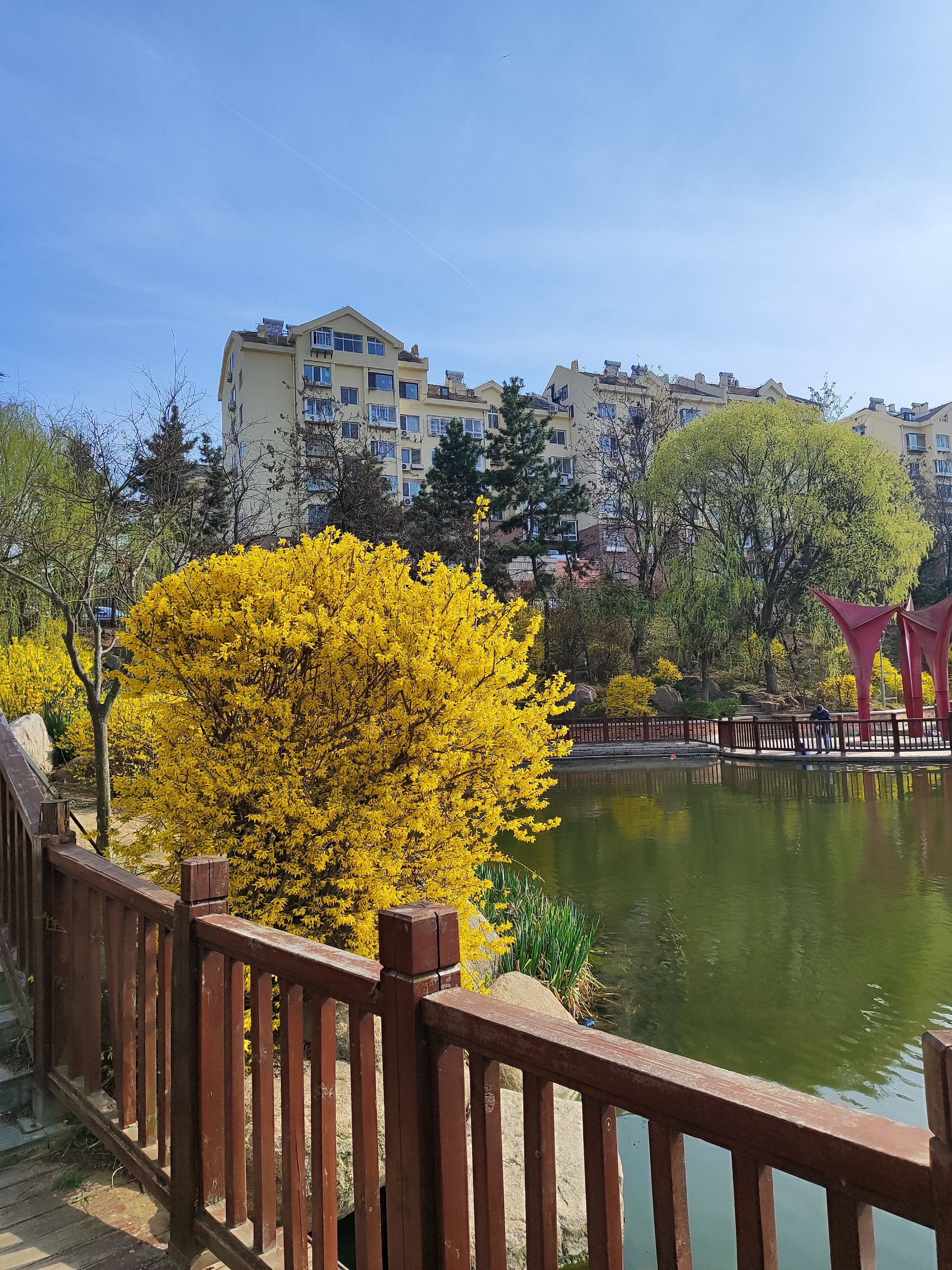 青岛岭南风景小区图片