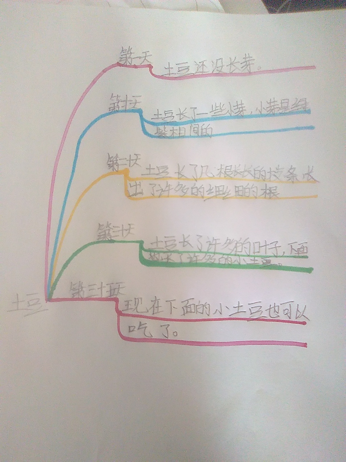 茄子种植思维导图图片