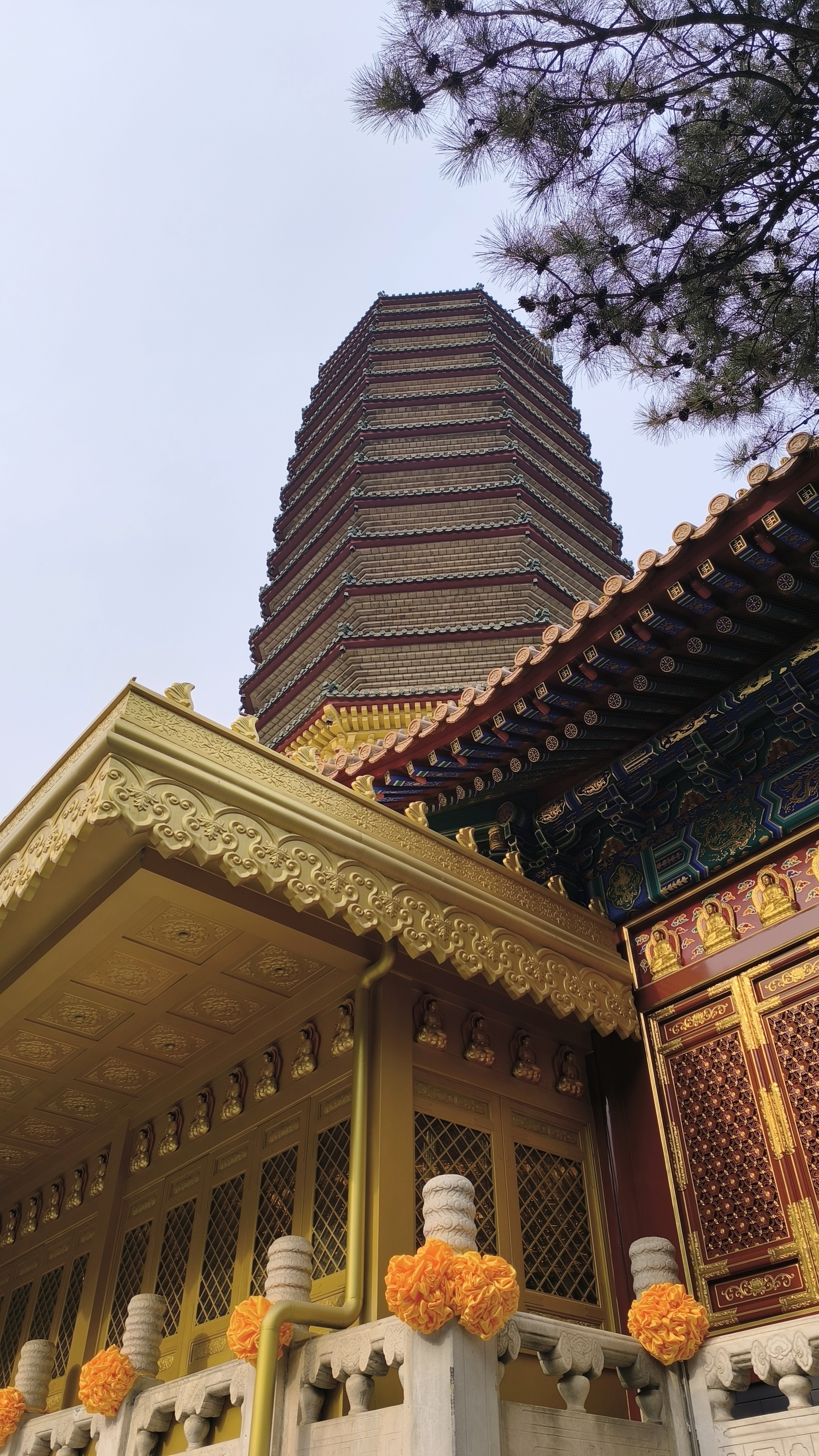 北京八大处灵光寺图片图片