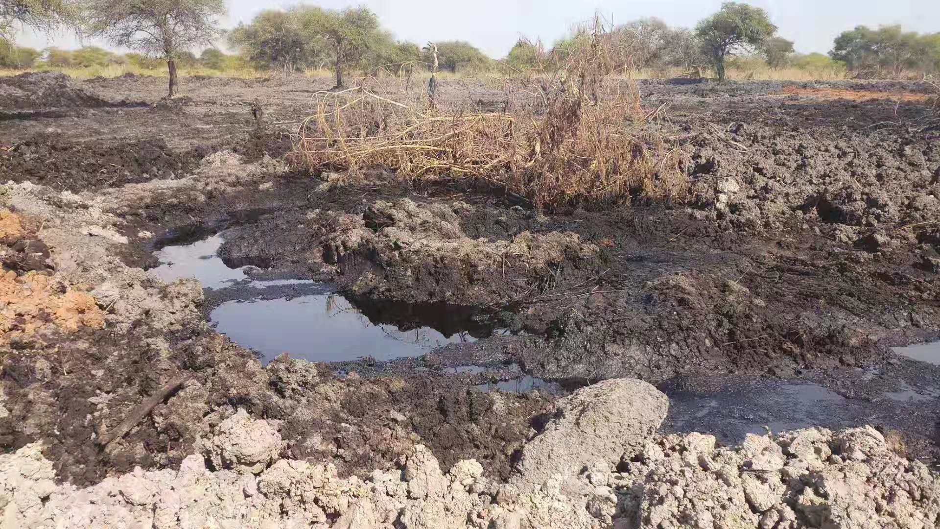 油泥生物无害化处置 油气田钻井废弃物泥浆池 微生物原位无害化处理