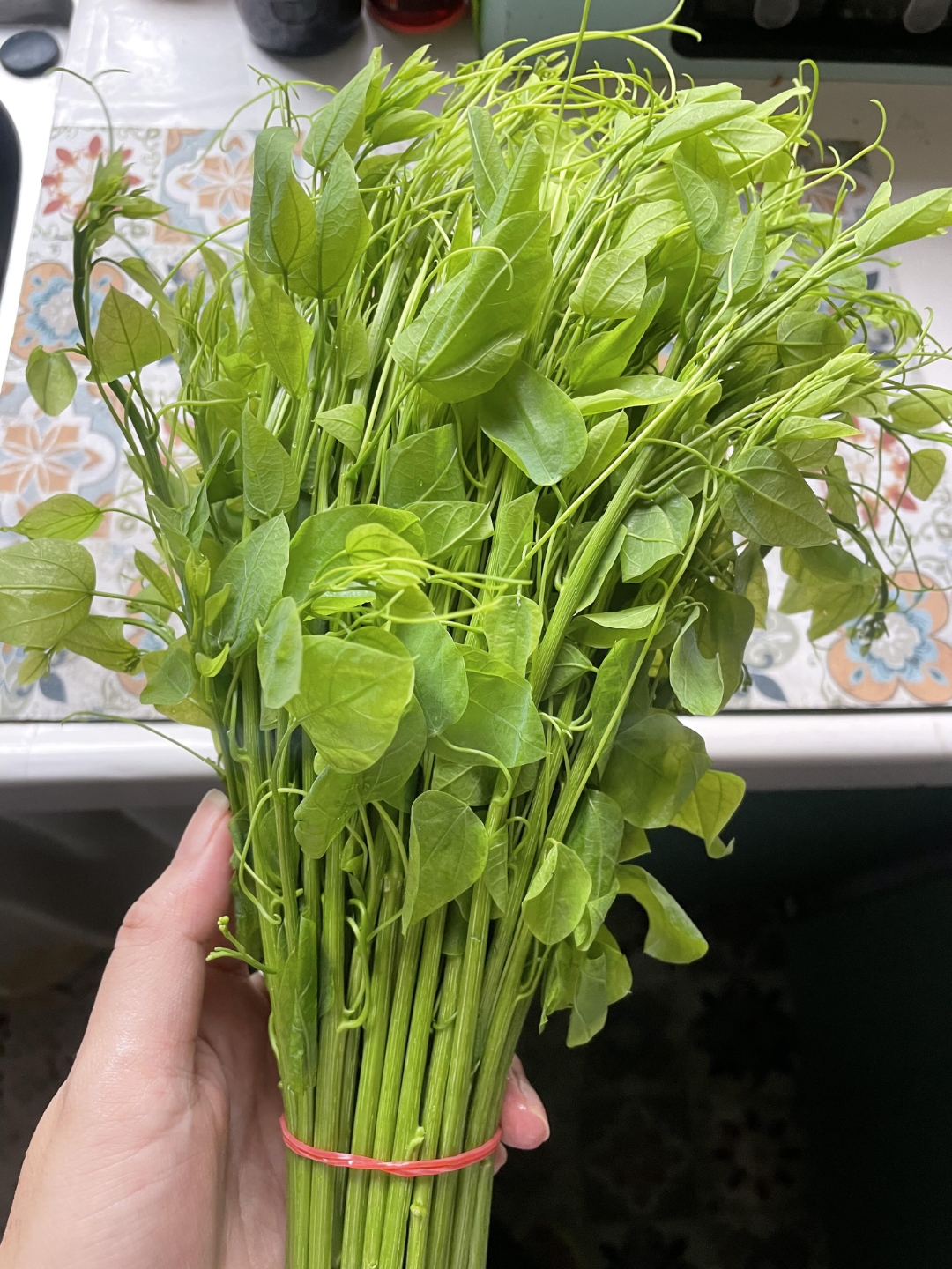 在菜市场看到这菜,感觉应该挺美味就买了,没想到竟然 22 元一斤.