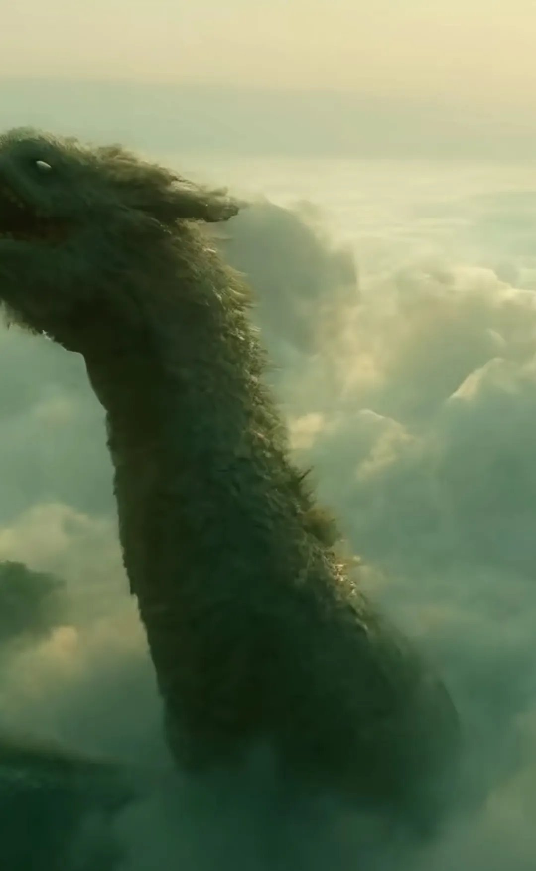 有个大师曾经说过:龙没有实体～以气化形