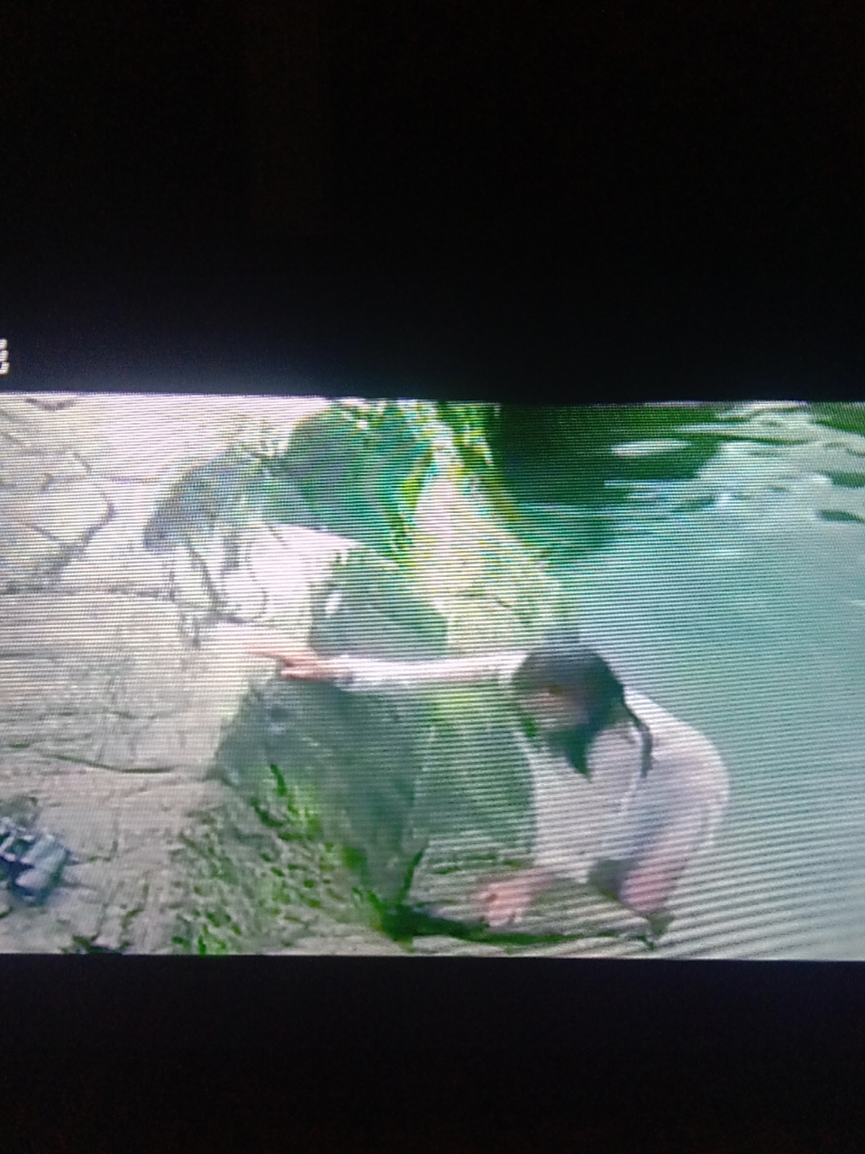 标题题目: 原振侠与卫斯理芭珠/ →正文索引← 前思后想·日思夜想