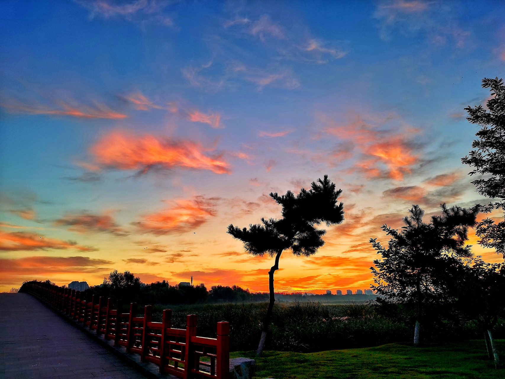 初秋的早晨是美丽