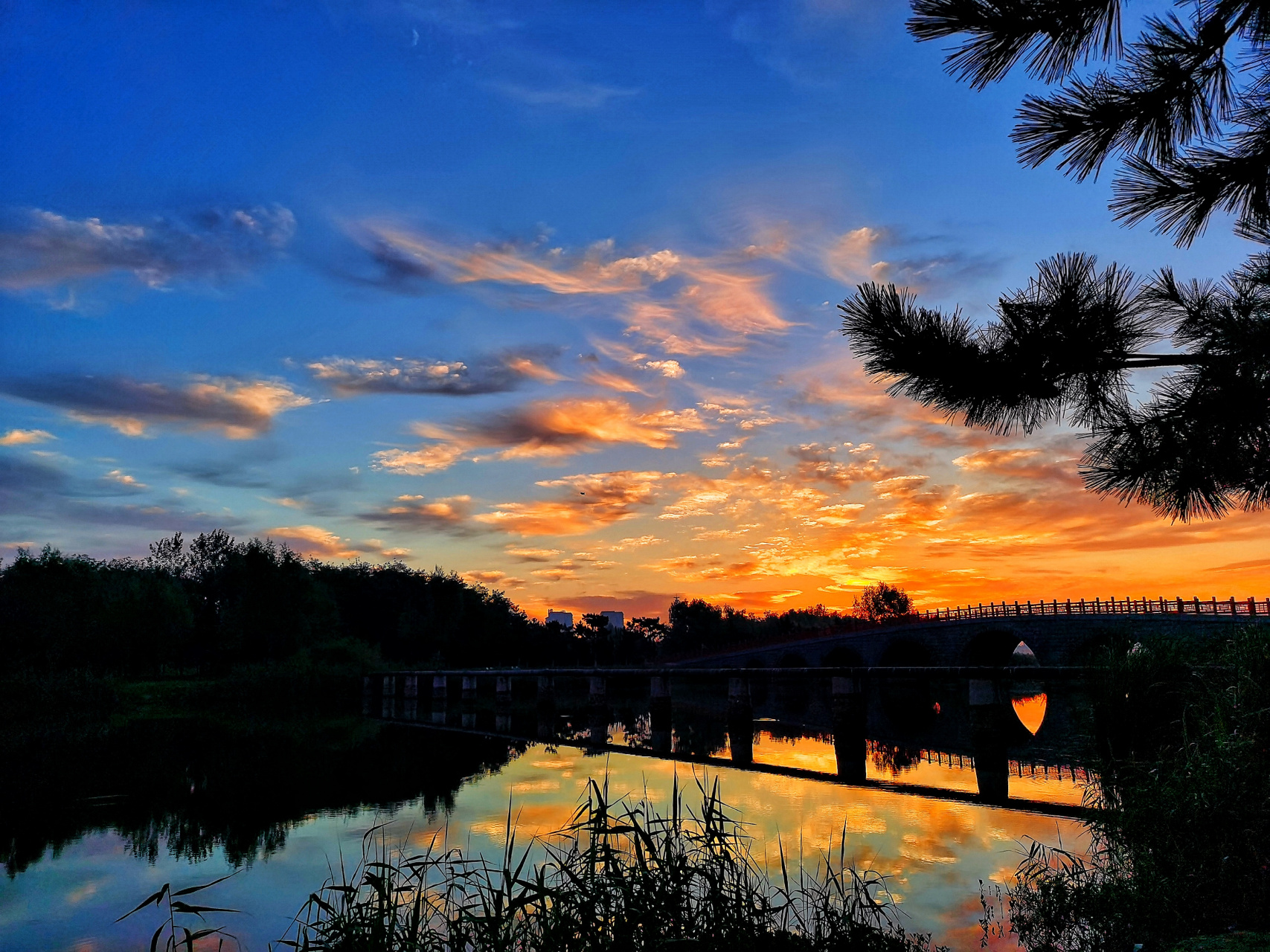 初秋的早晨是美丽