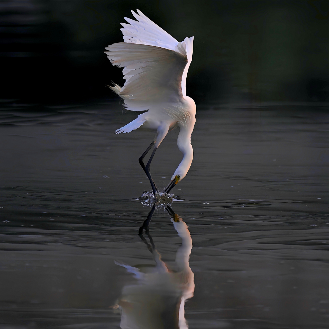 幽姿闲自媚, 逸翮思一骋. 如有长风吹, 青云在俄顷