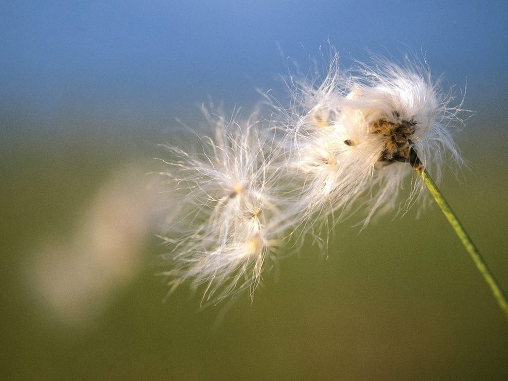 德国思想家史怀泽曾在《敬畏生命》中写道:他在非洲志愿行医时,有一天
