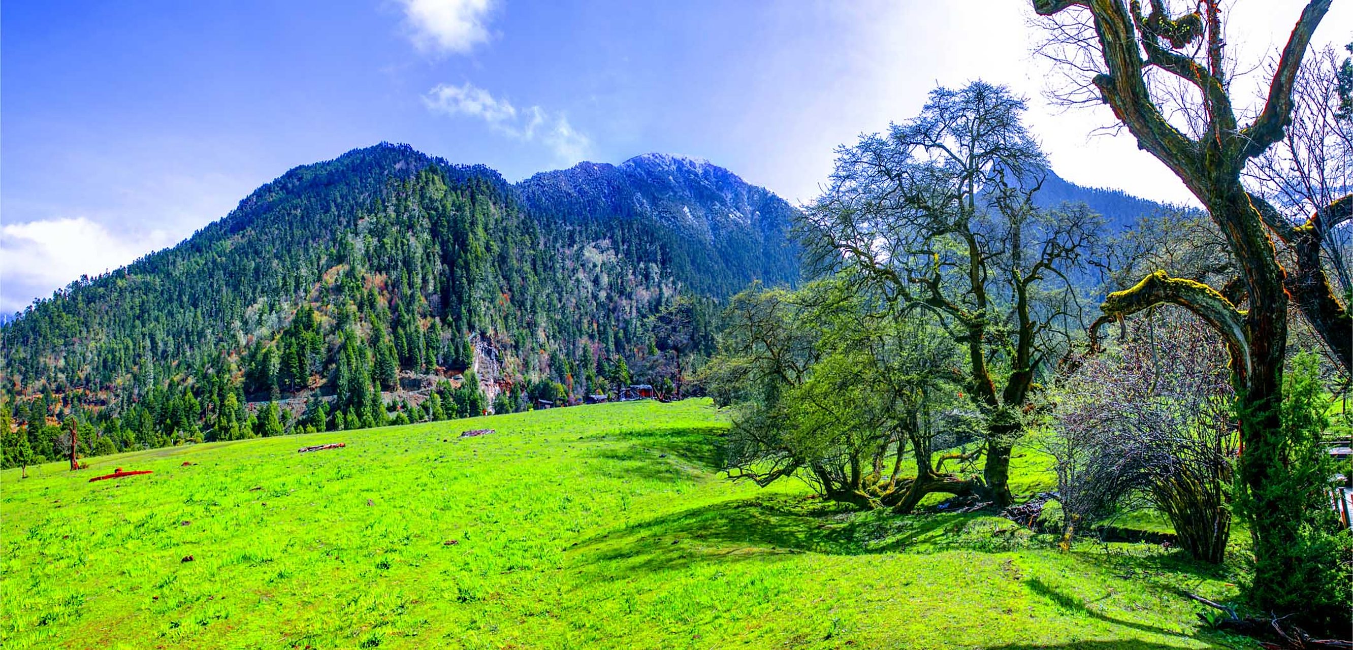 南伊沟:位于西藏米林县南部的南伊珞巴民族乡境内,是纳伊普曲峡谷,在