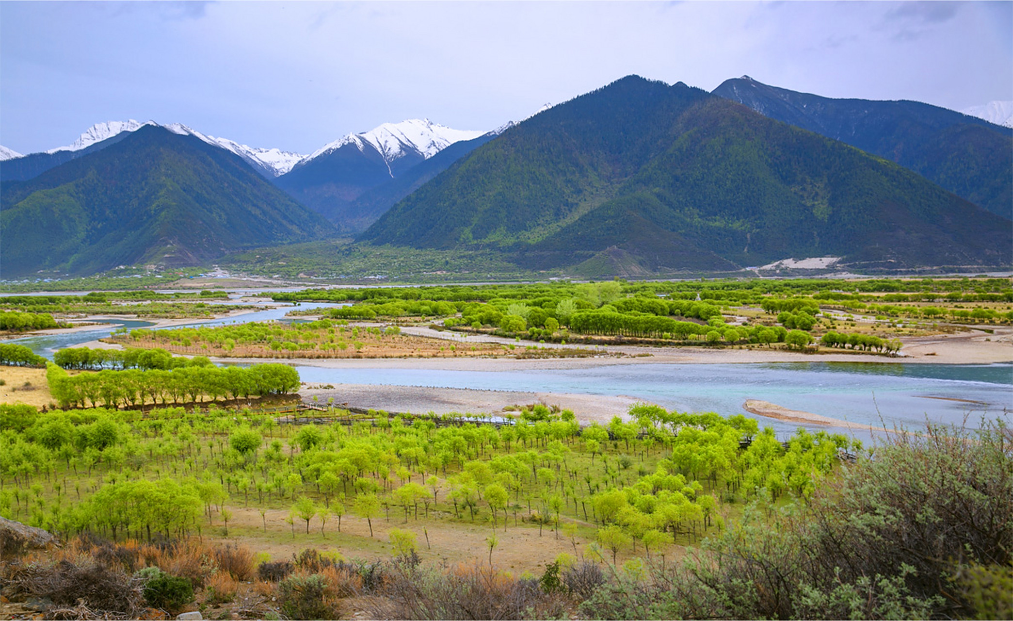 2009年7月29日,《雅尼国家湿地公园总体规划》在拉萨市顺利通 过了