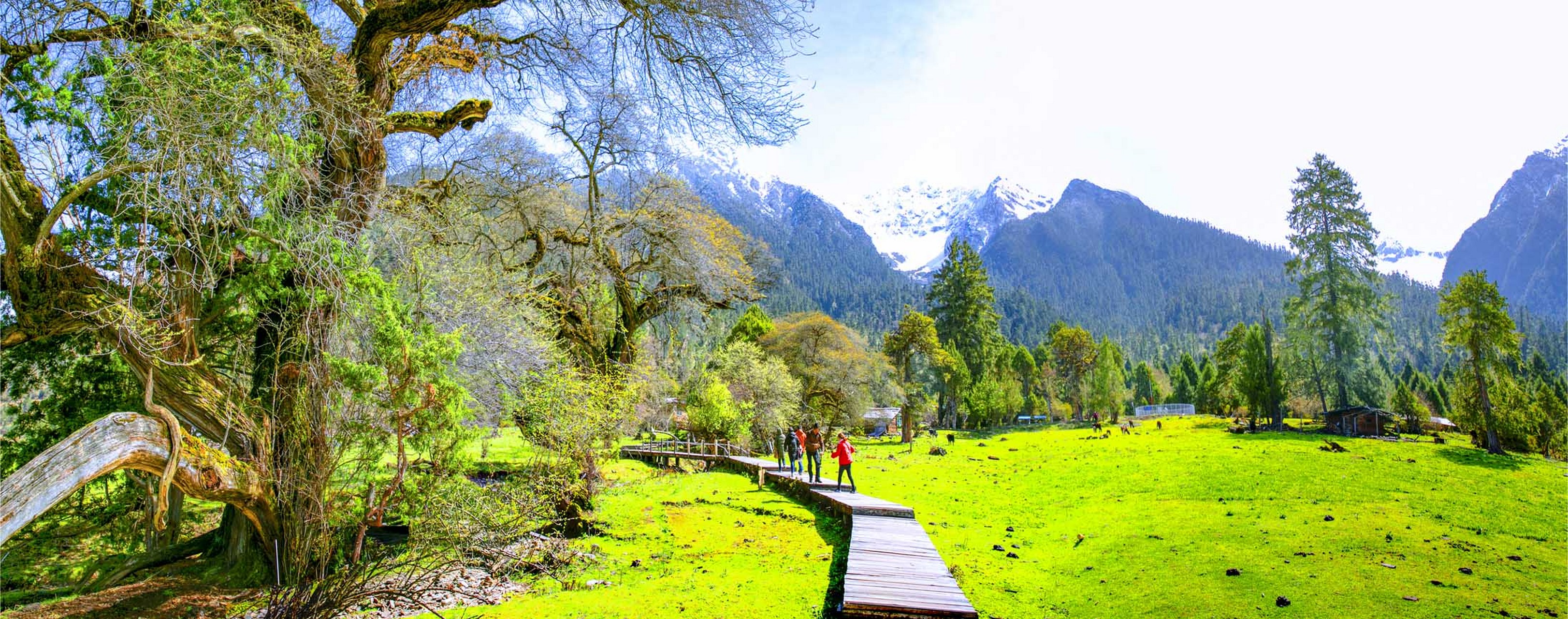 南伊沟:位于西藏米林县南部的南伊珞巴民族乡境内,是纳伊普曲峡谷,在