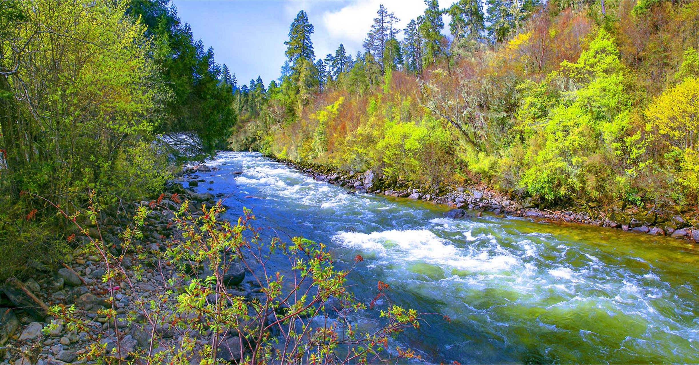南伊沟:位于西藏米林县南部的南伊珞巴民族乡境内,是纳伊普曲峡谷,在