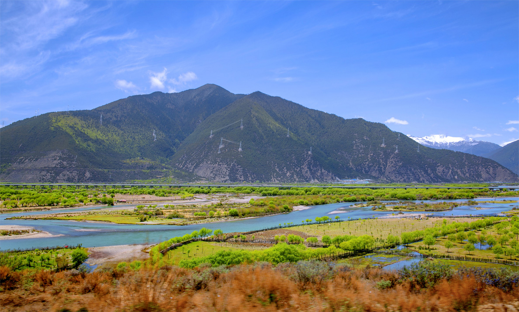 2009年7月29日,《雅尼国家湿地公园总体规划》在拉萨市顺利通 过了