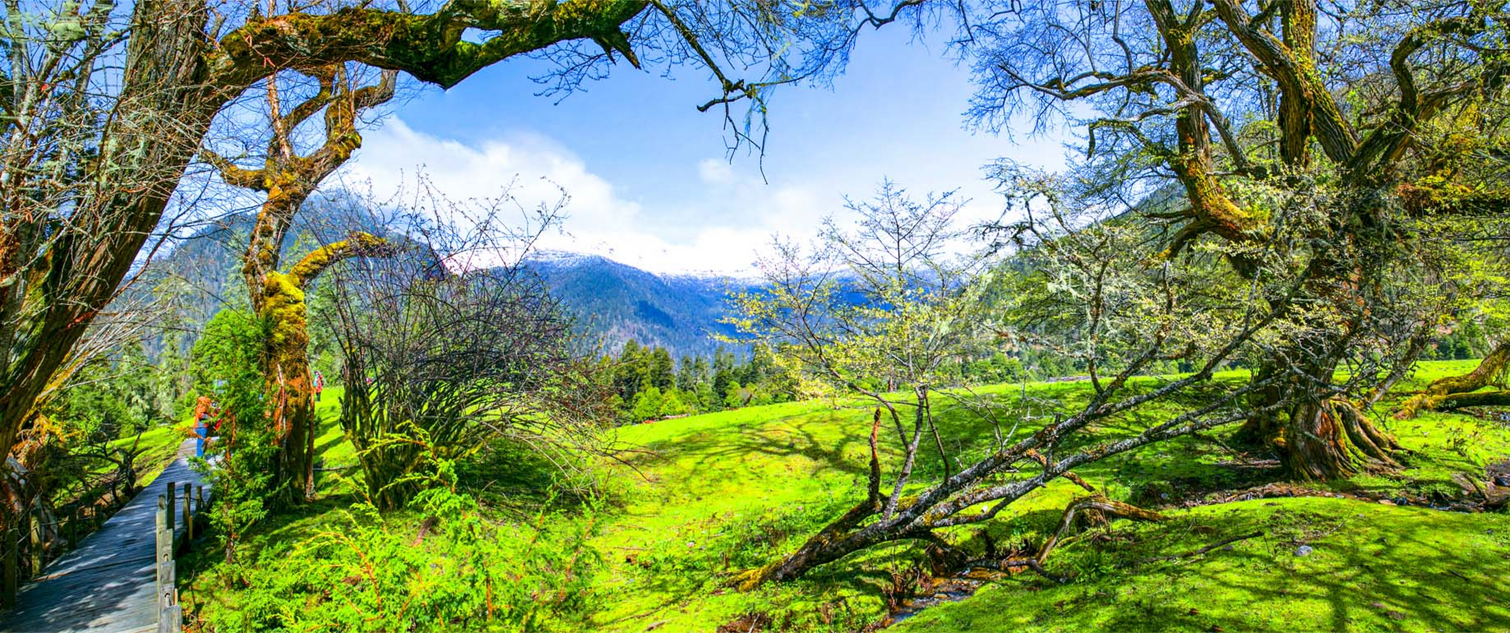 南伊沟:位于西藏米林县南部的南伊珞巴民族乡境内,是纳伊普曲峡谷,在