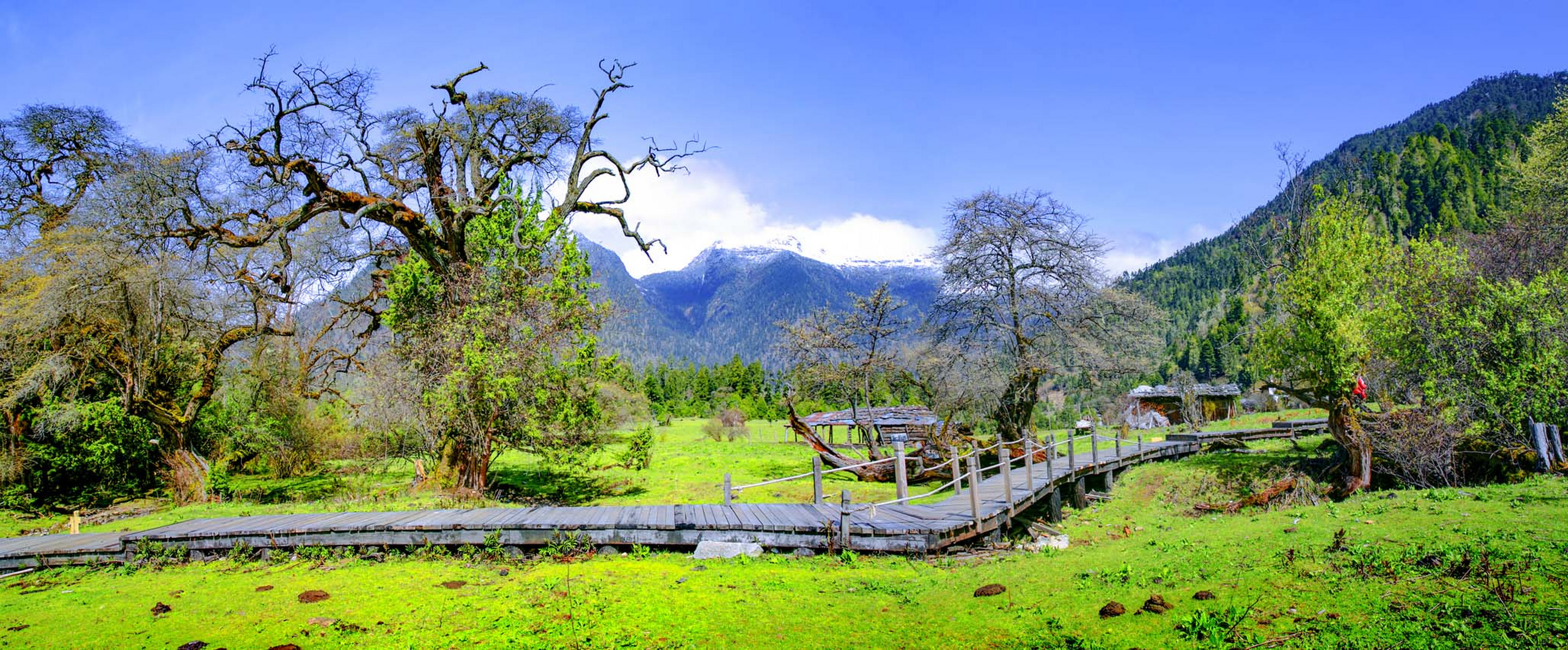 南伊沟:位于西藏米林县南部的南伊珞巴民族乡境内,是纳伊普曲峡谷,在