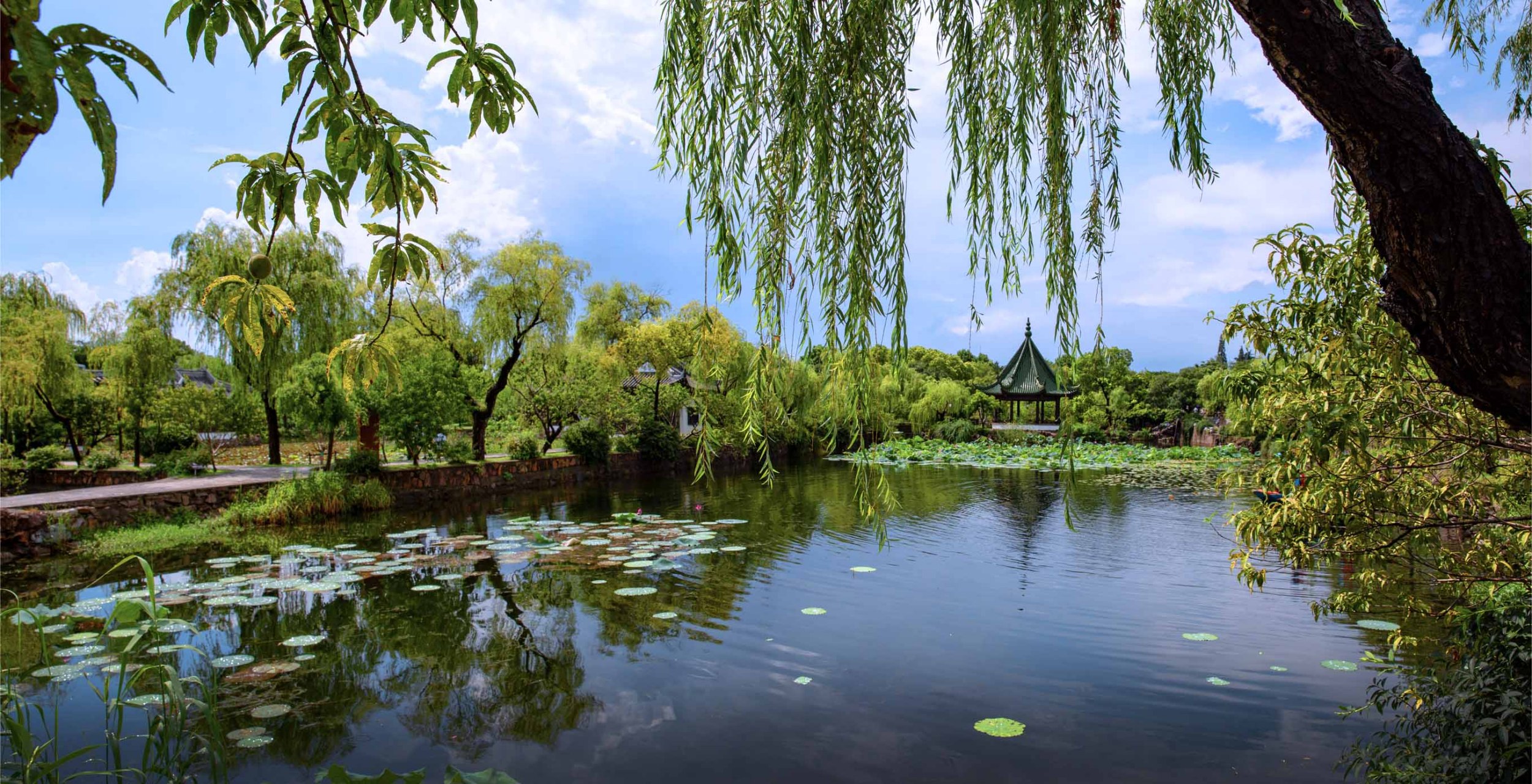 "太湖风景名胜"之一无锡蠡园02#2024旅游指南# #旅行# #记录我的城市