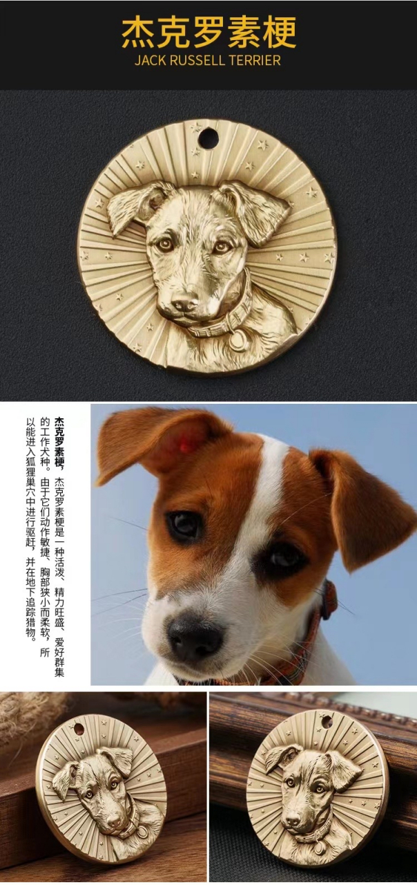 杰克罗素梗-jack russell terrier(梗类犬) ·体重:5.9-7.