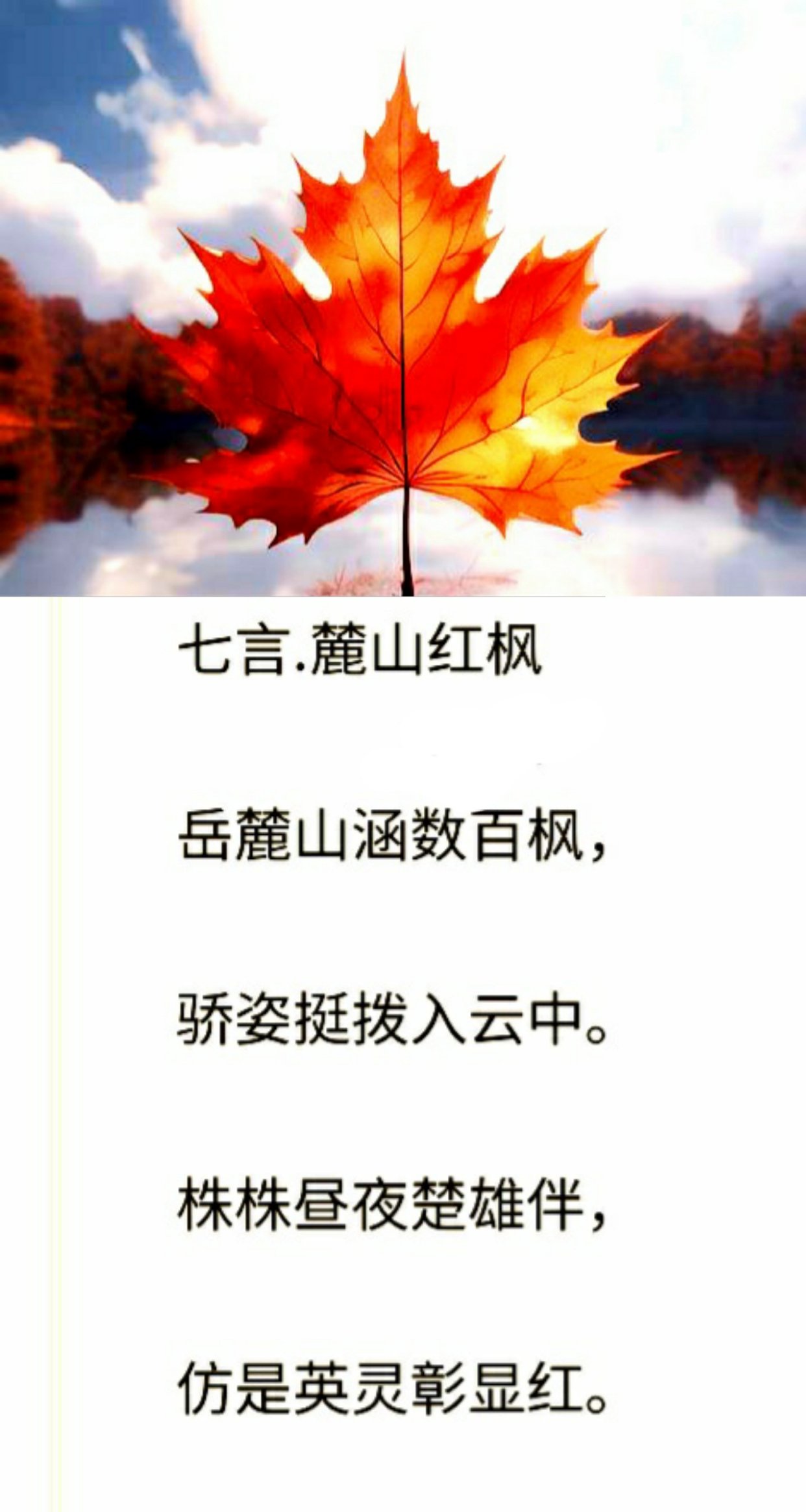 枫林的诗句