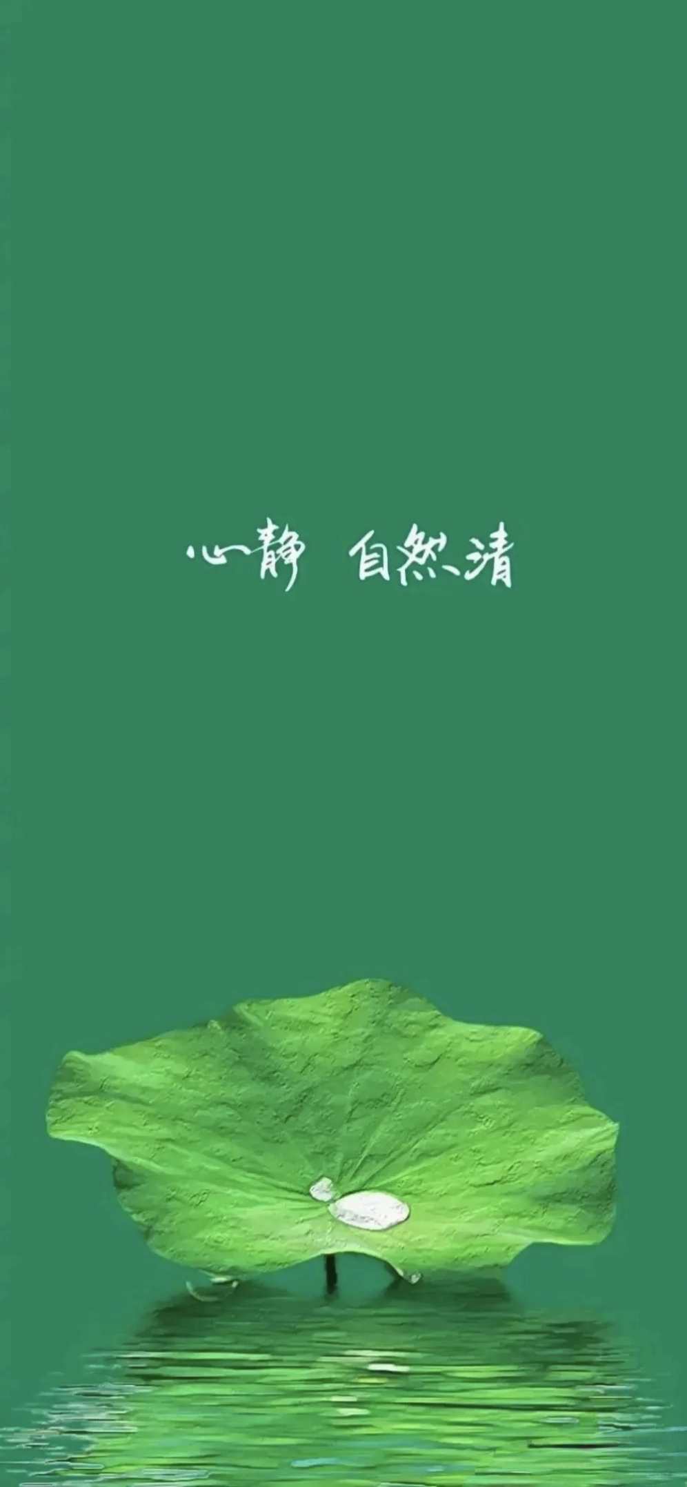 我在这片绿油油的草地上,头顶着蓝天白云,放飞着梦想,就像这位穿着红