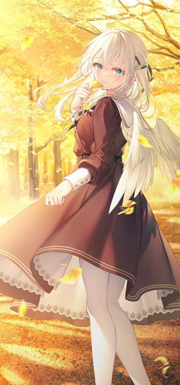 1,无尾熊男歌手因为纵欲过度身体机能不是很好,在某方面有点力不从心