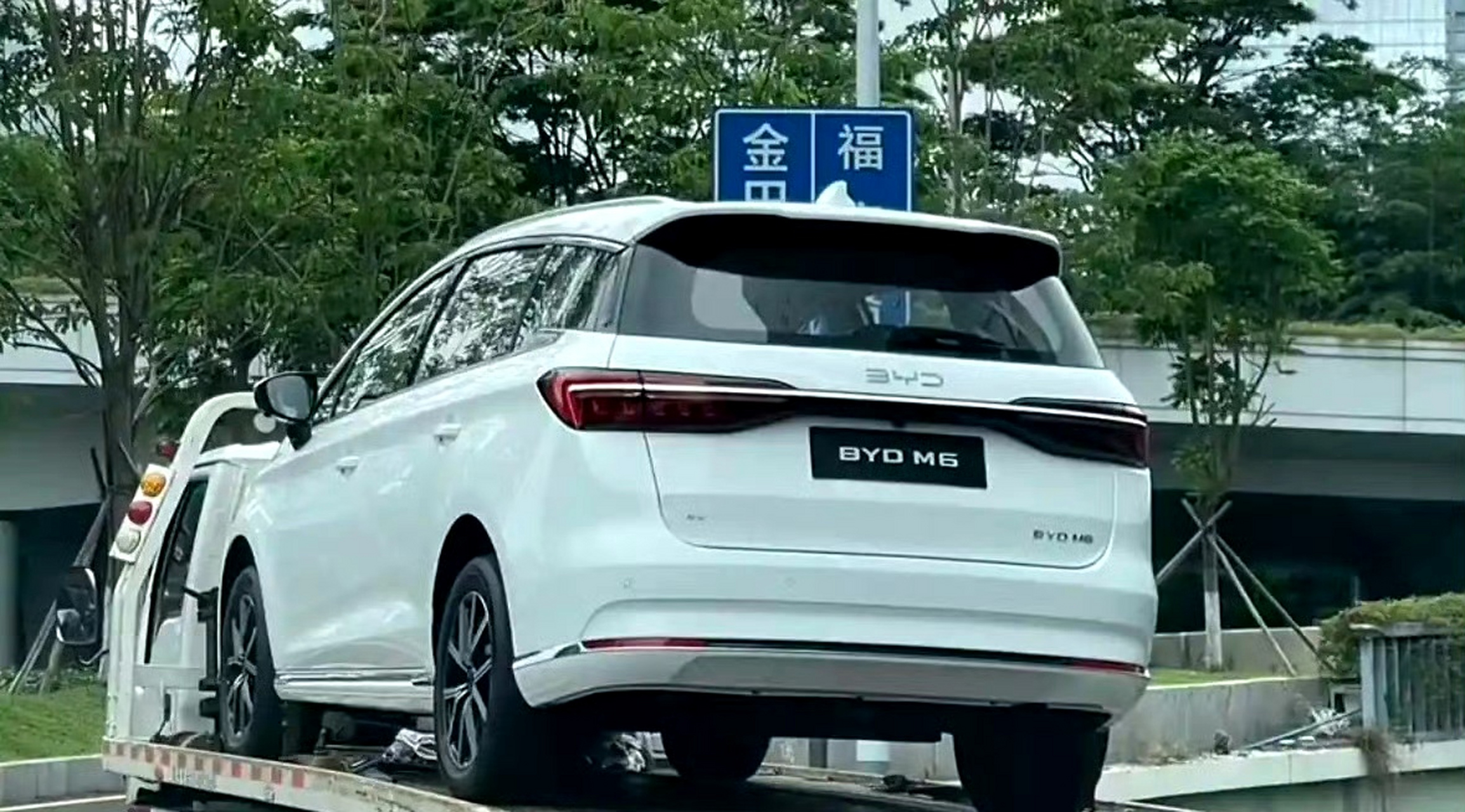 动态创作者扶持计划