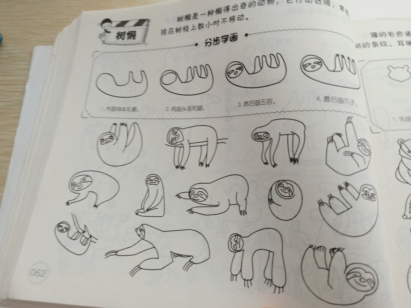 树懒简单画法大全