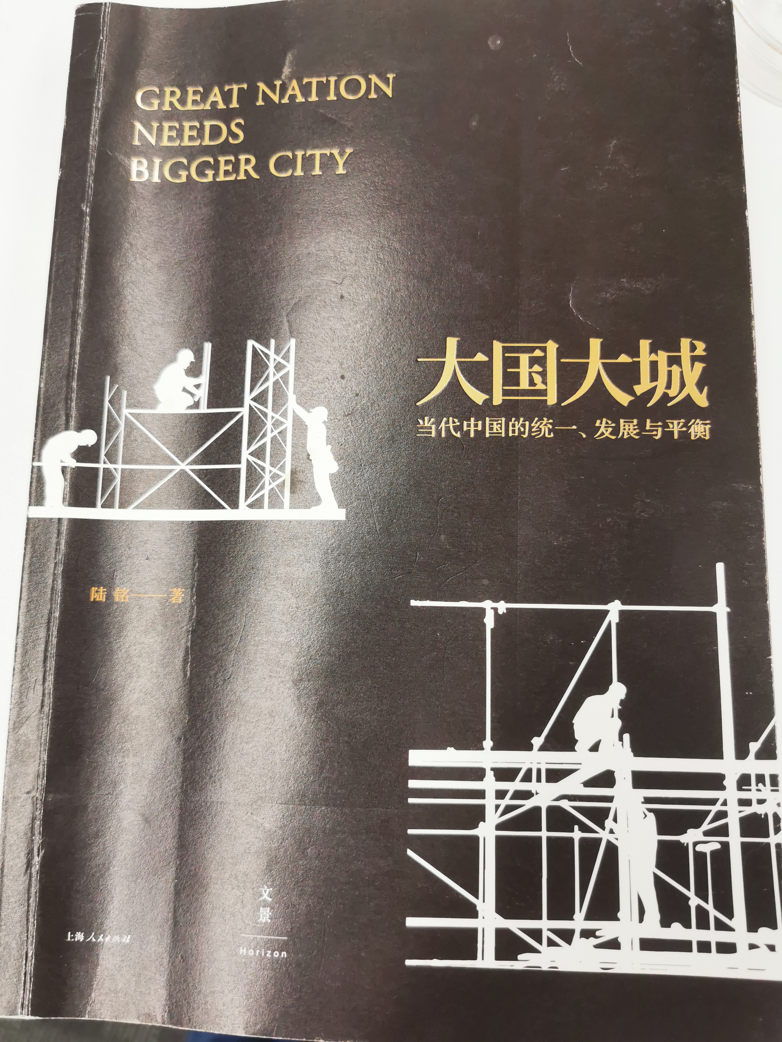 《大国大城》 --一本中国城市化进程的教科书          《大国大城》