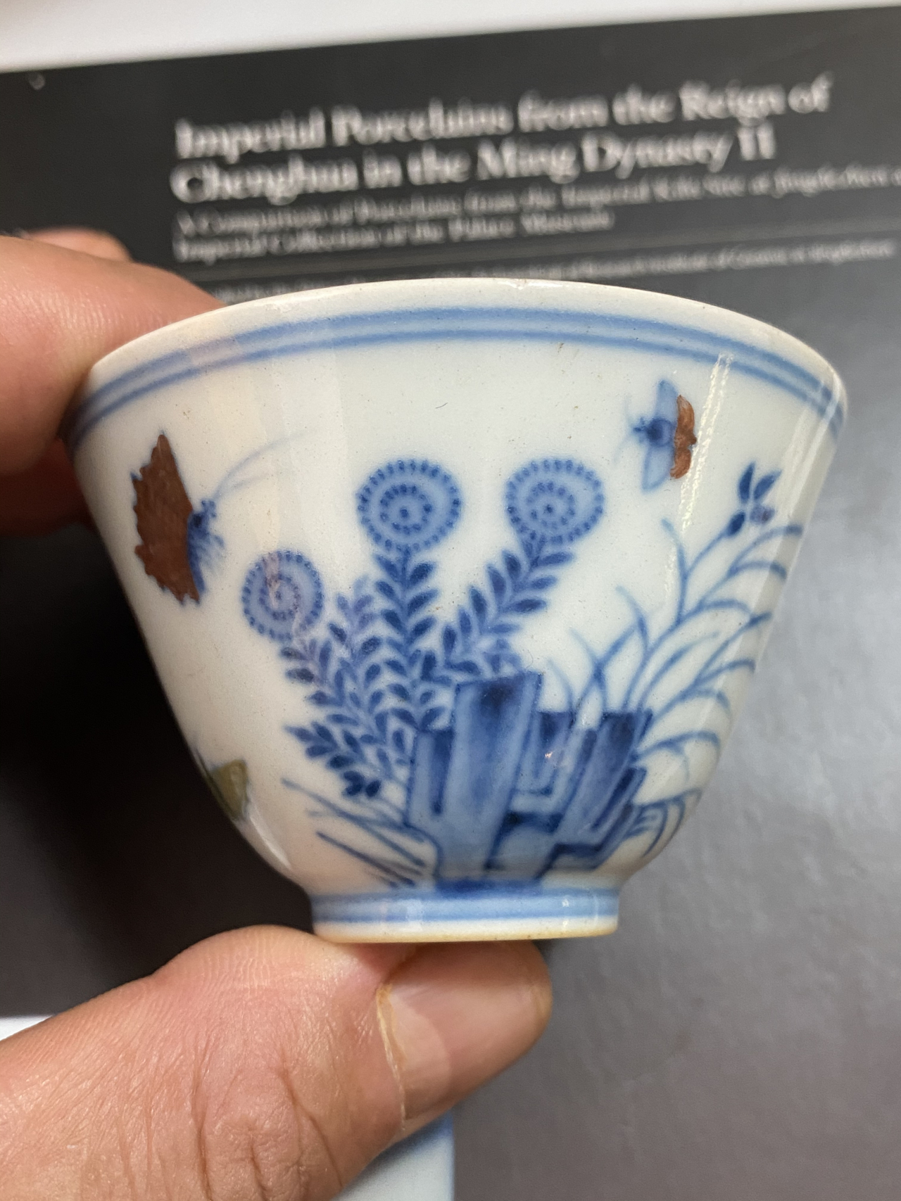 明成化斗彩三秋杯精品欣赏