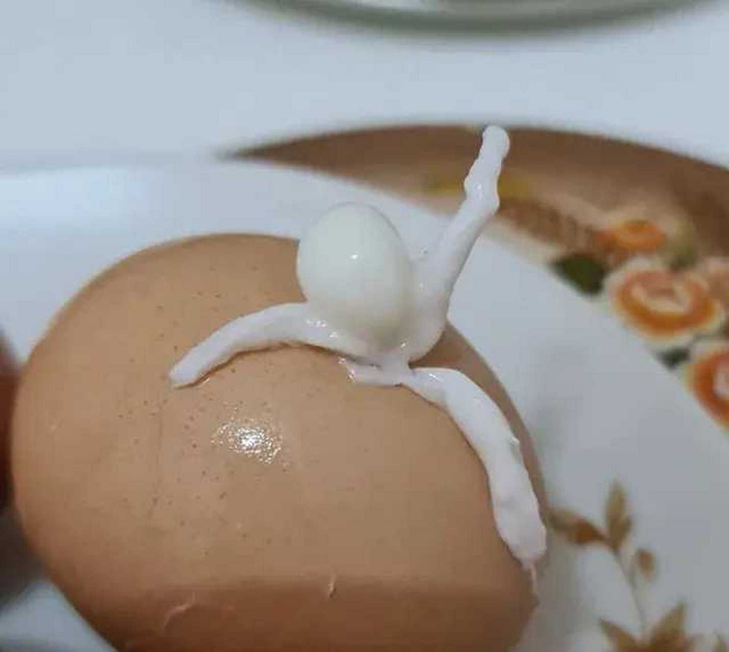 当代年轻人煮的鸡蛋有多可爱?
