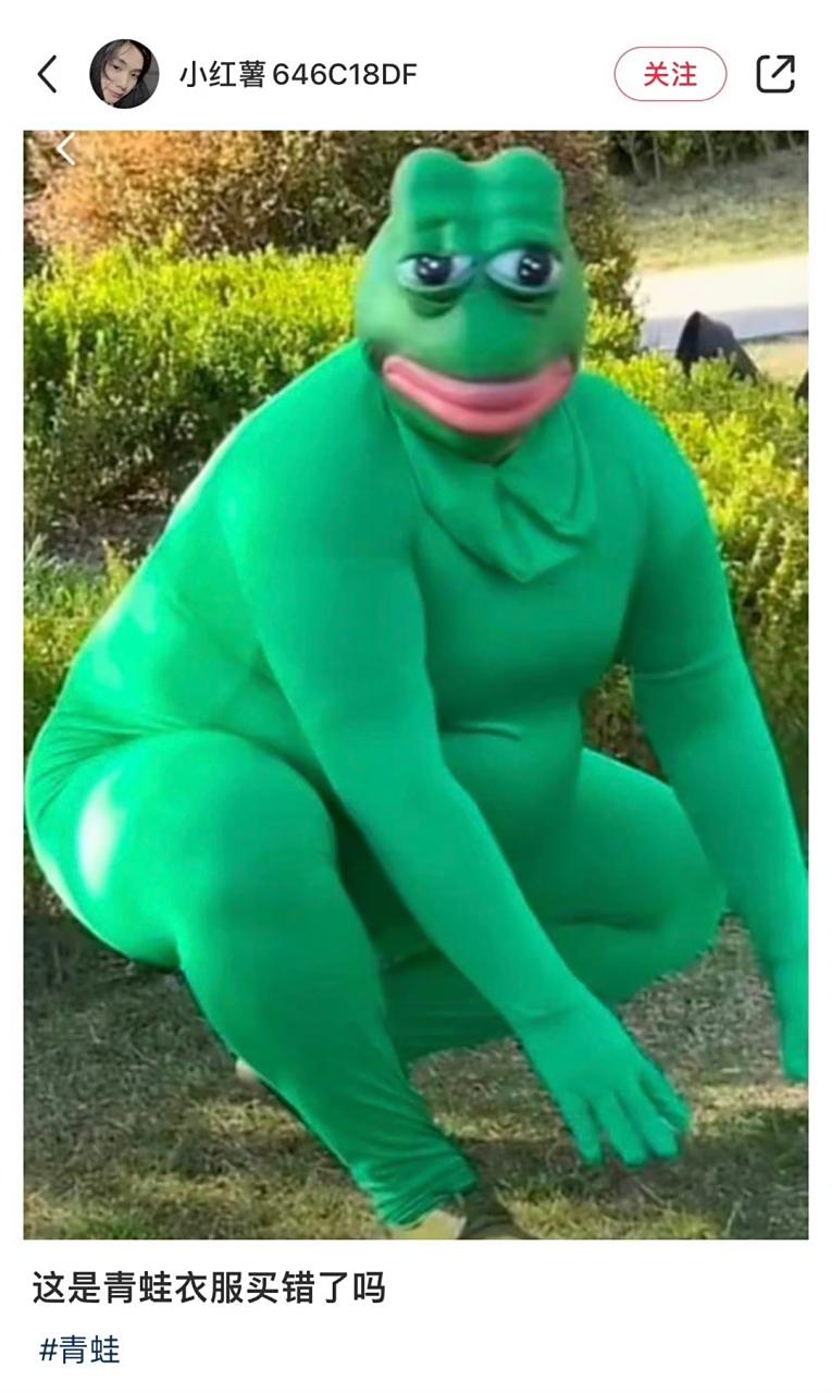 这是青蛙衣服买错了吗?