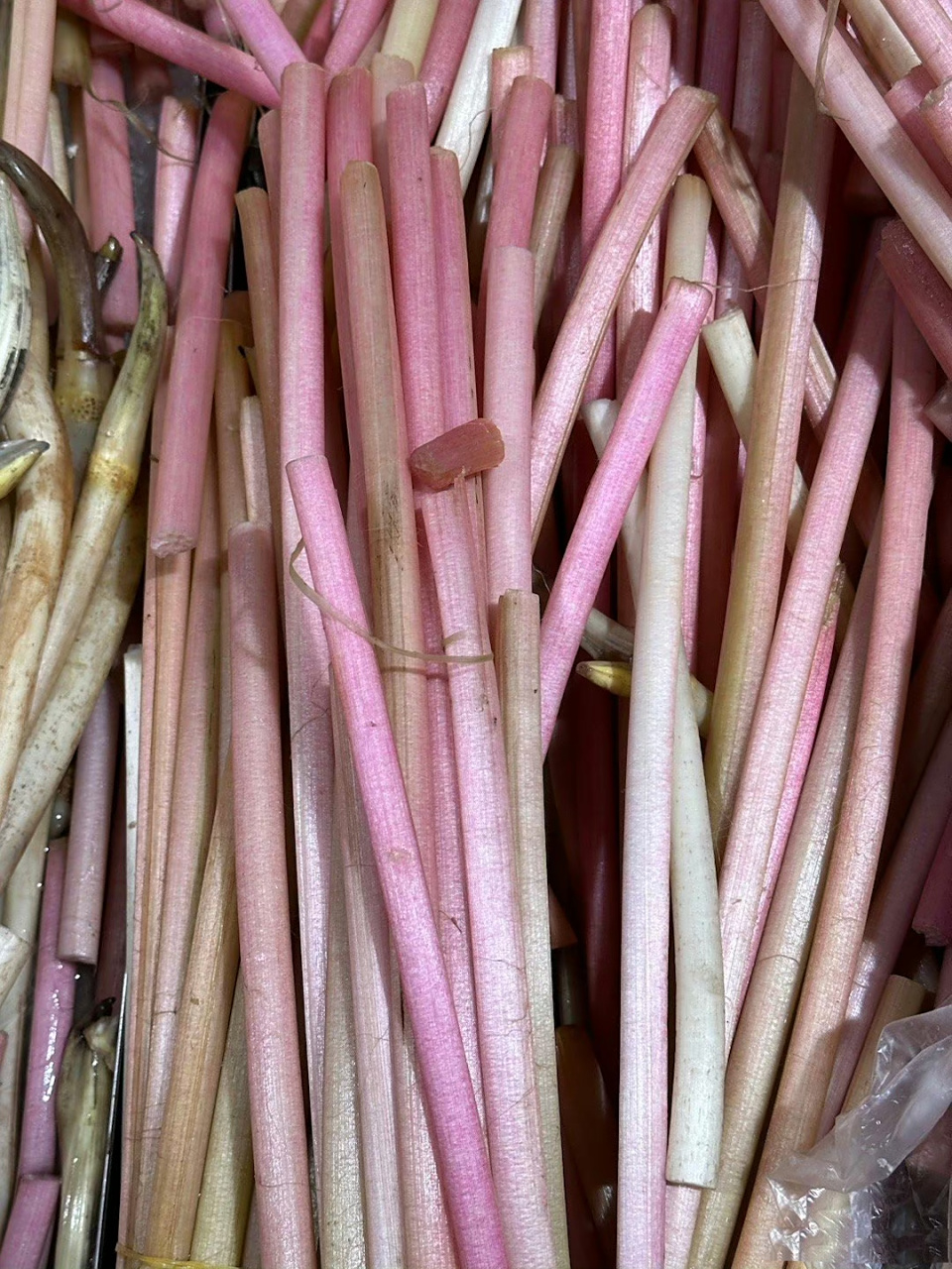 第一次见这个藕茎,也不知道好不好吃!