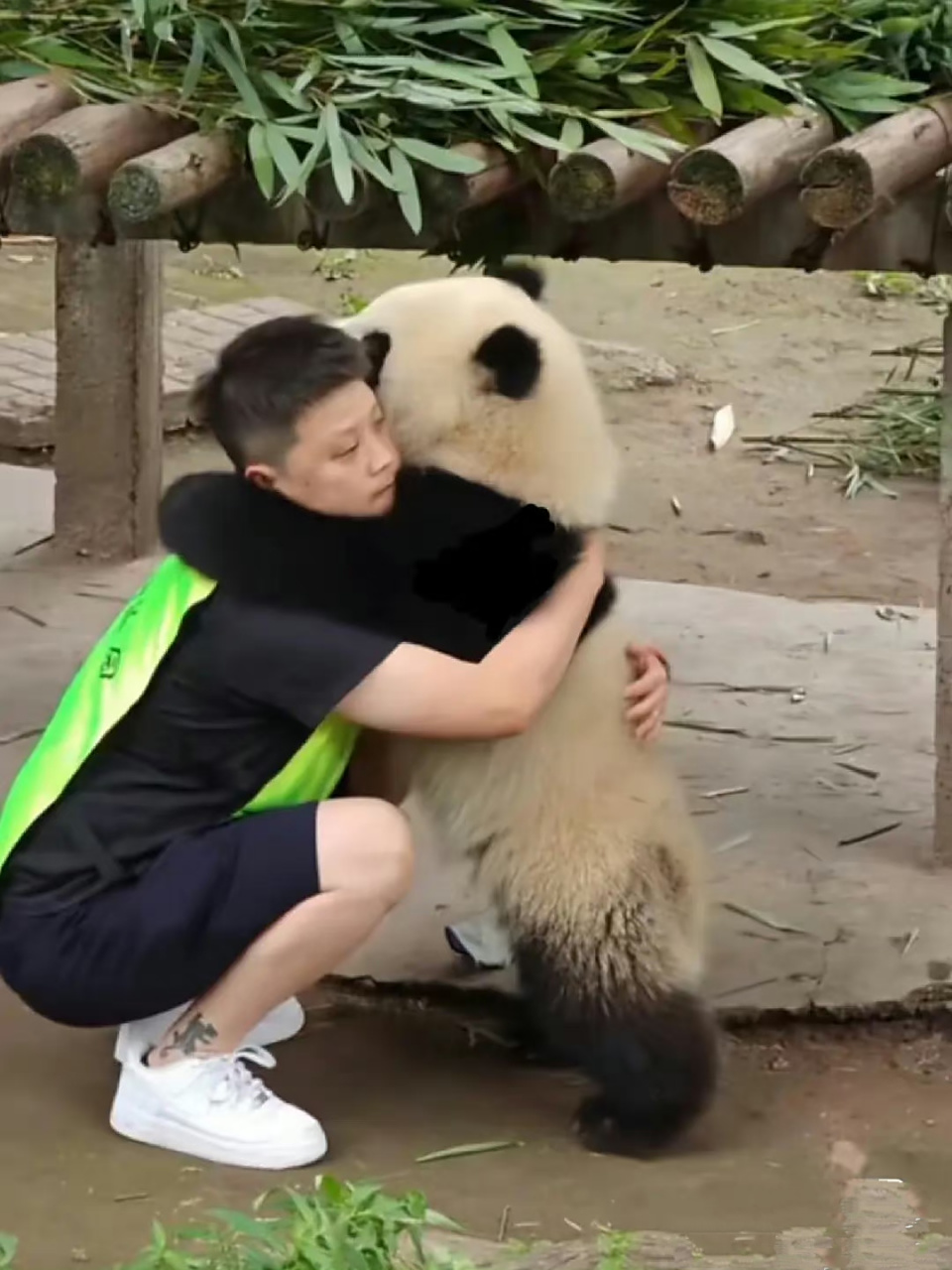 原来熊猫真的会搂人类脖子抱抱啊! ​