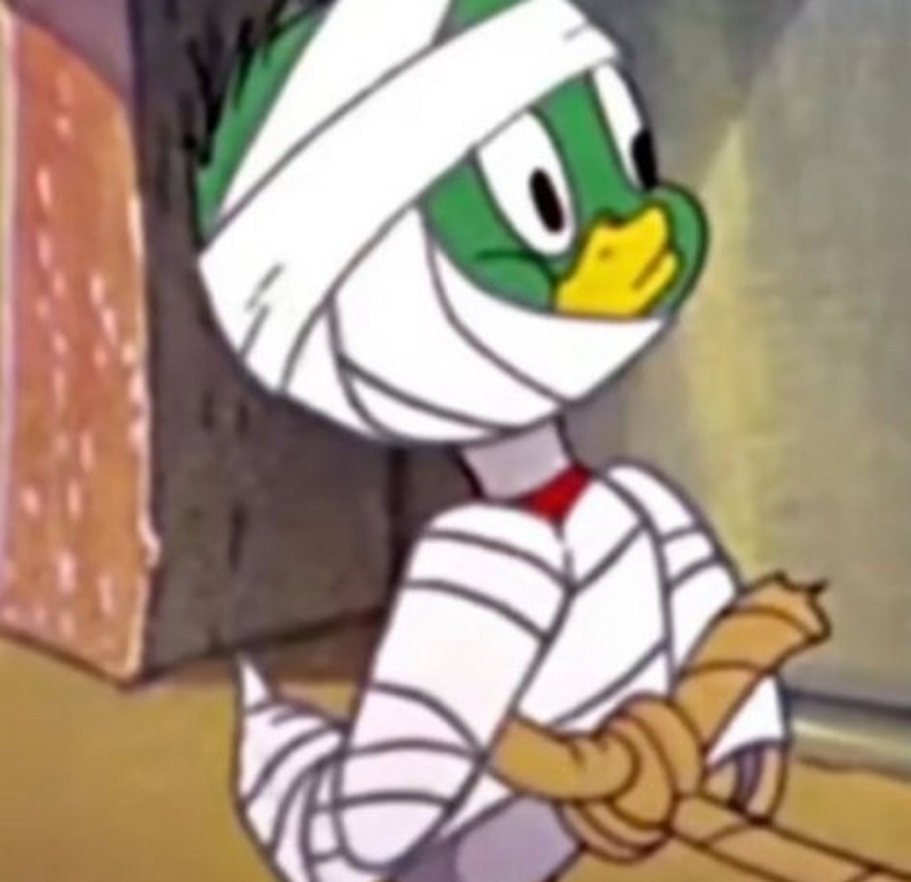 第一次在一只鸟头上看到了鼻青脸肿,《猫和老鼠》果然没有骗我.