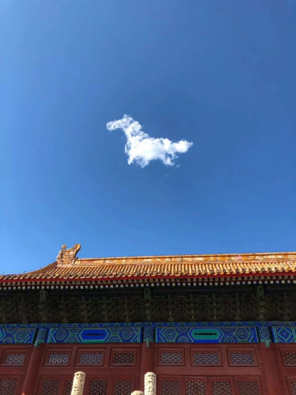 拍云朵拍到了一只马.