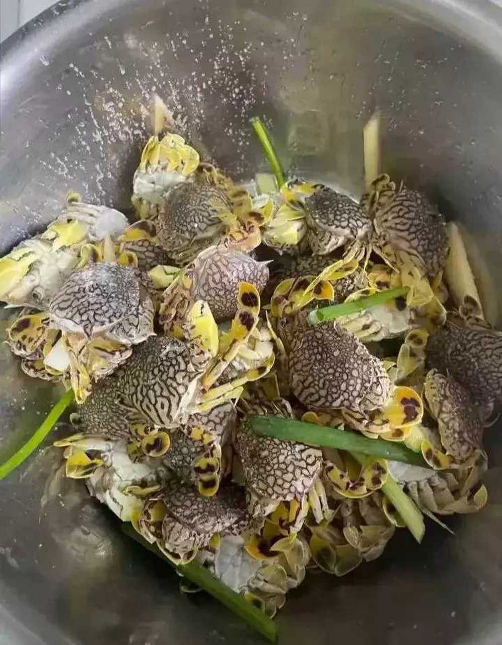 这是什么品种的螃蟹,有没有毒啊?