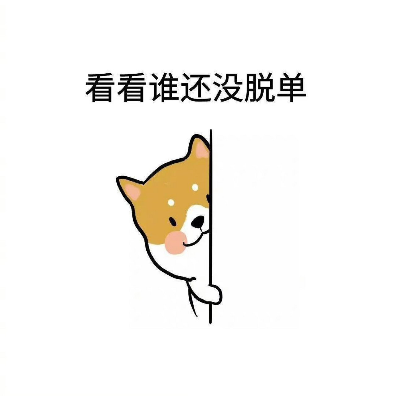 你的室友为了脱单都做了哪些努力?