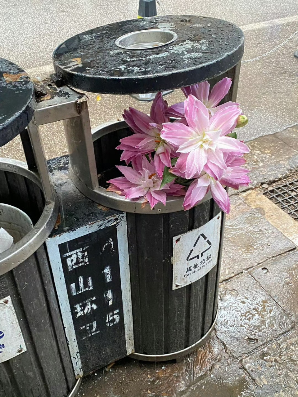 鲜花扔在垃圾桶的图片图片