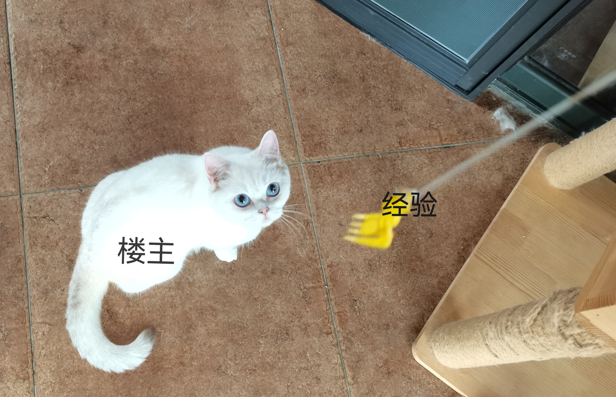 弄点表情包 适合用在楼主水贴的时候