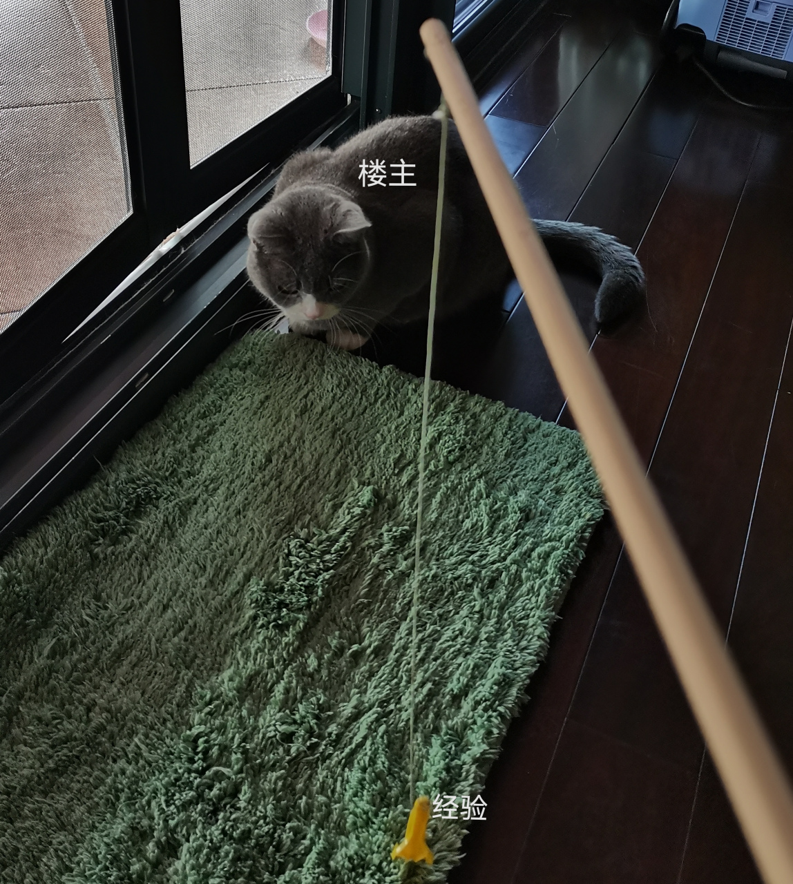 弄点表情包 适合用在楼主水贴的时候