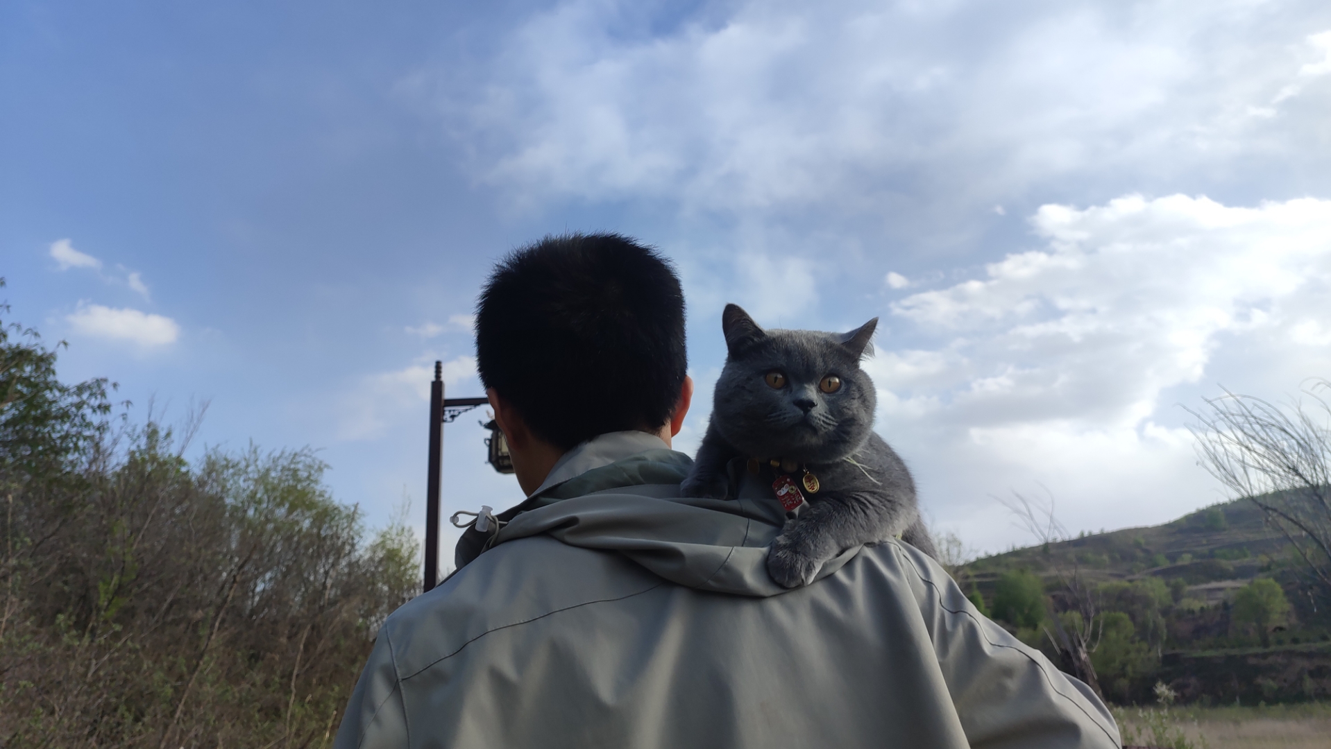 男士身着深色夹克,背影显得神秘而深邃,仿佛承载着无尽的故事