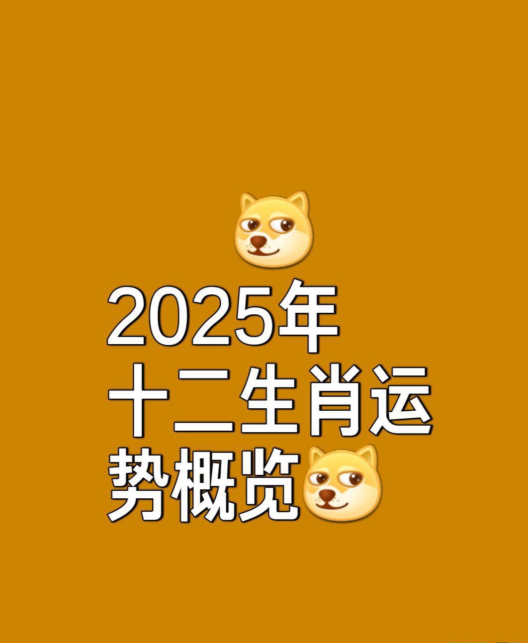 各大生肖的运势2025(2025生肖全年运势大全)