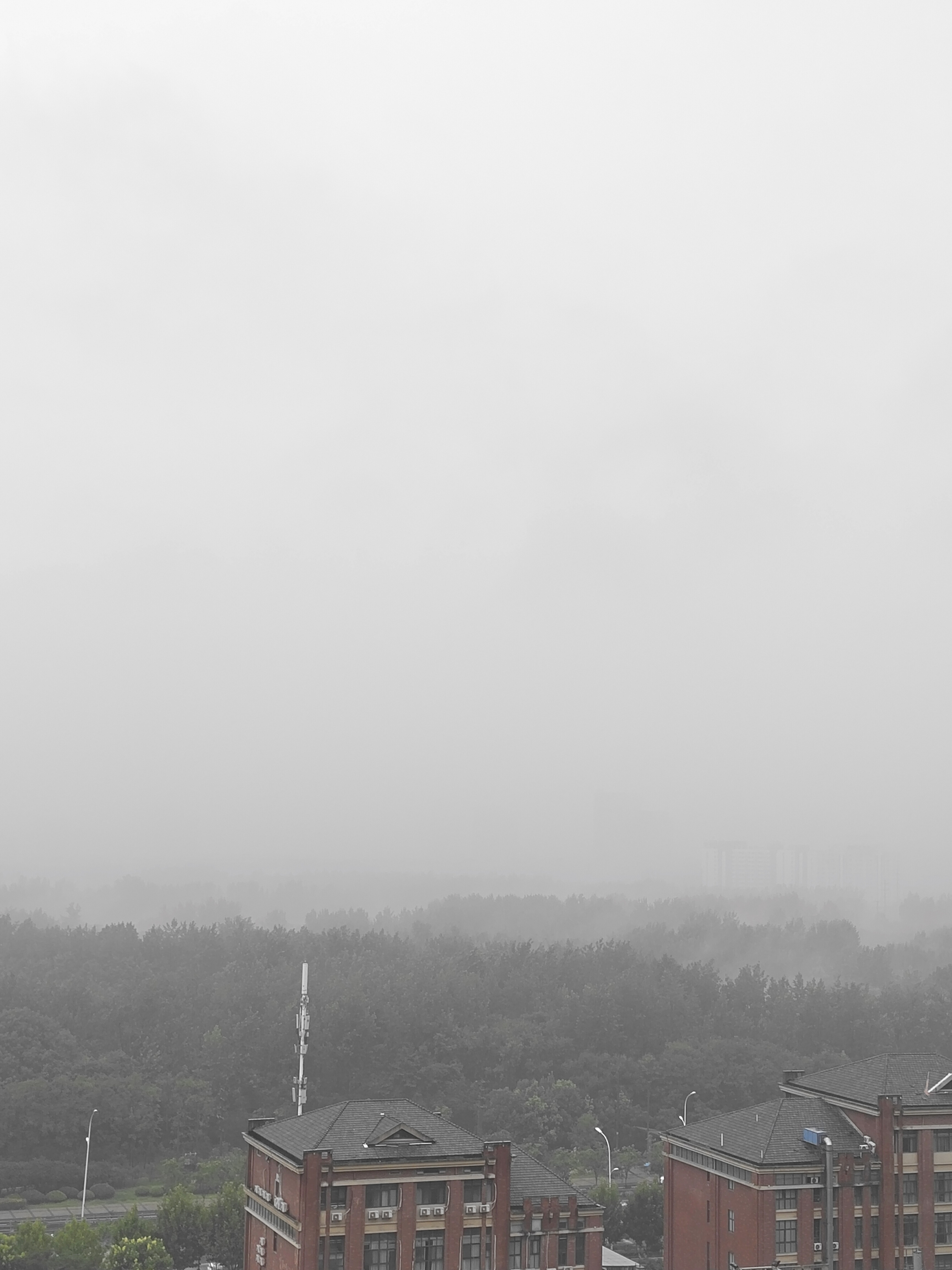 浮生若梦难捉摸, 得失随缘莫执偏. 人生短暂如朝露, 只羡鸳鸯不羡仙.