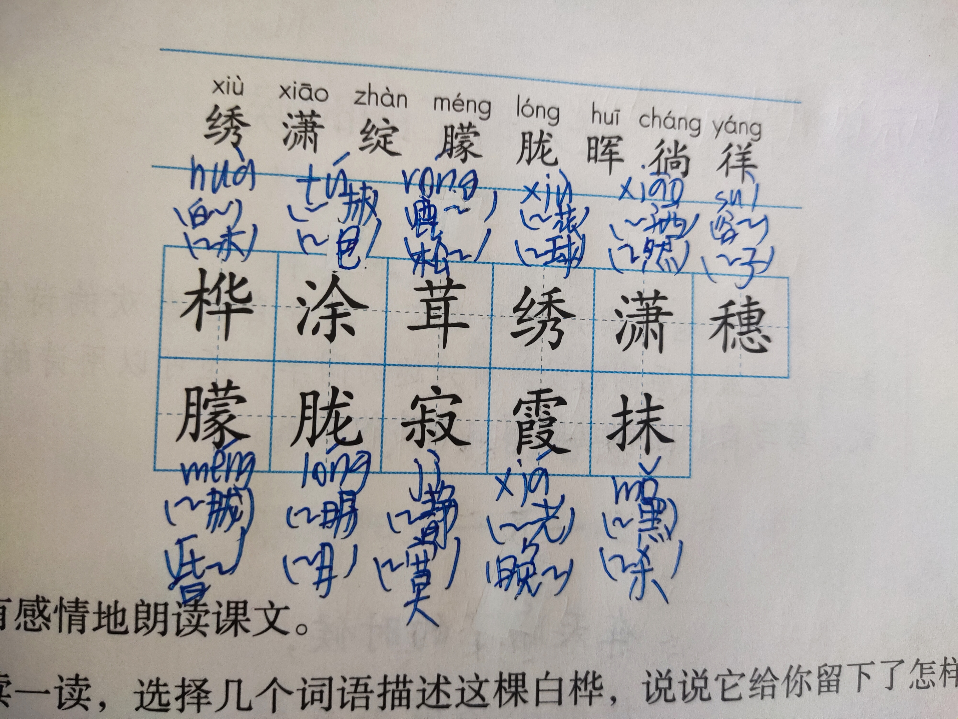 人教版语文四年级下册《白桦》的笔记