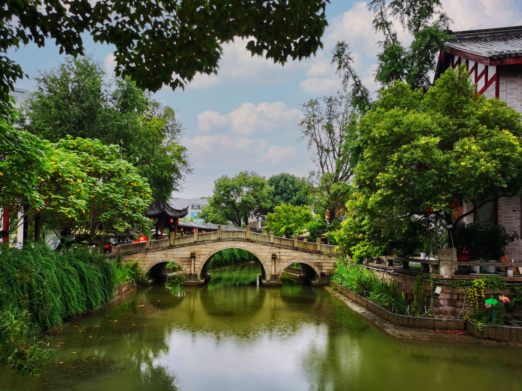 风景摄影#  龙潭水乡 龙潭水乡位于成都市成华区龙潭总部经济城核心