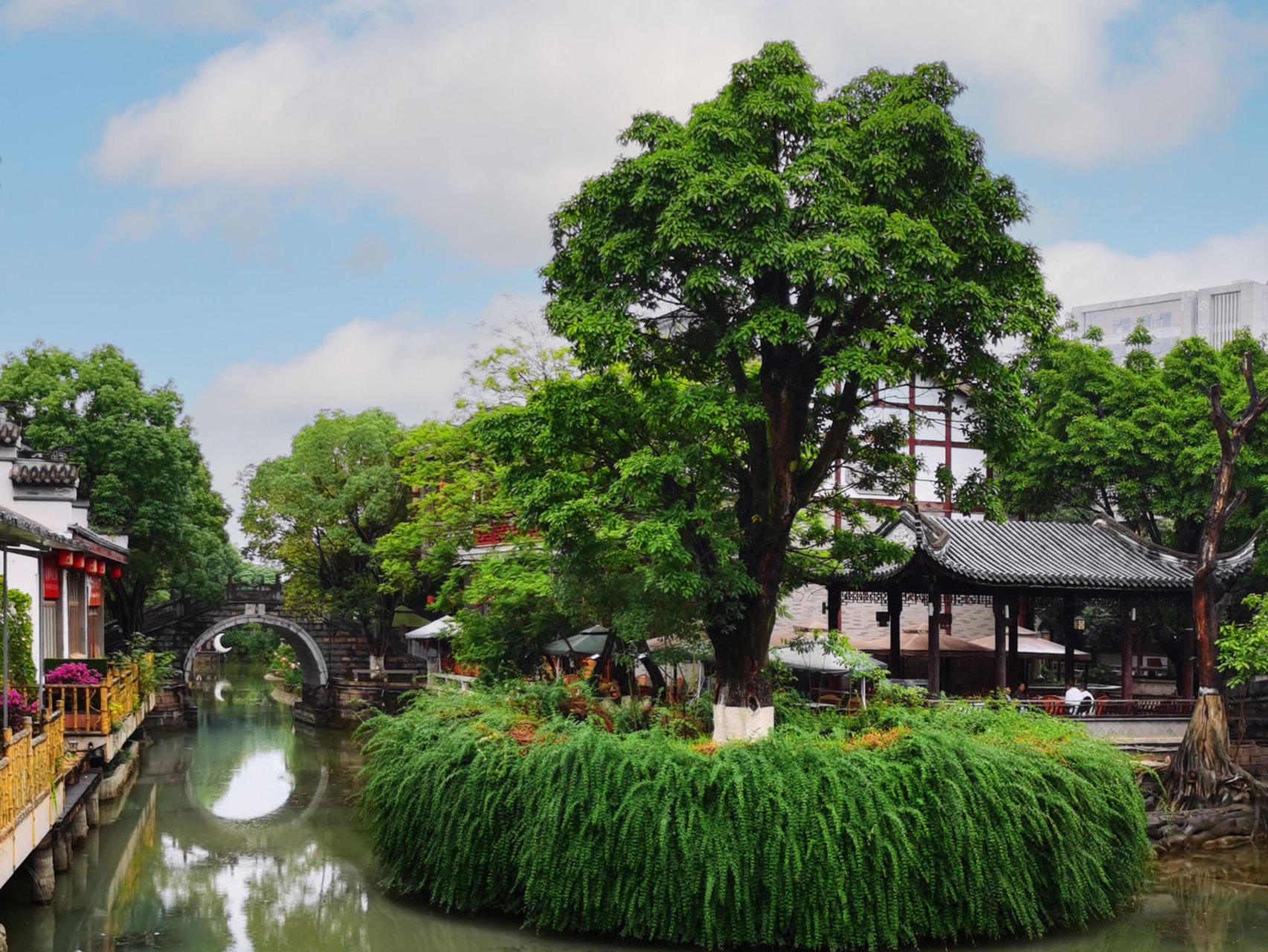 风景摄影#  龙潭水乡 龙潭水乡位于成都市成华区龙潭总部经济城核心