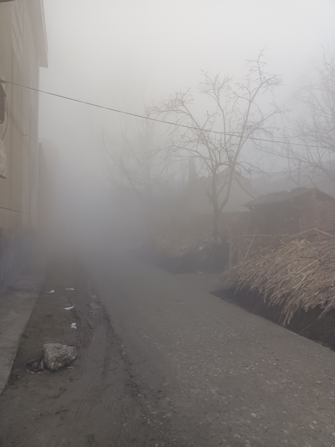 大雾弥漫的清晨