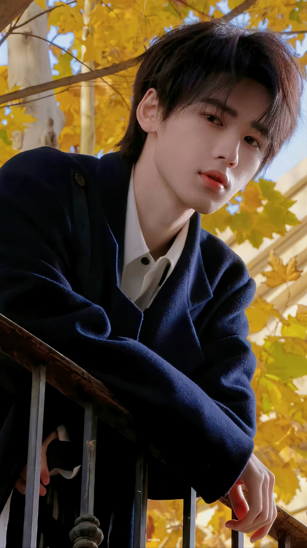 宋亚轩无框眼镜的神,秋日暖阳下,倚栏少年,静谧美好时光